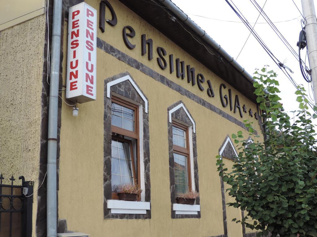 Pensiunea Gia Сигишоара Екстериор снимка